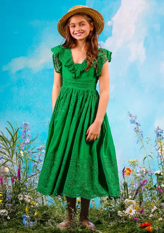 Naomi Embroidered Maxi Dress Fashionable Chiffon Maxi Dress